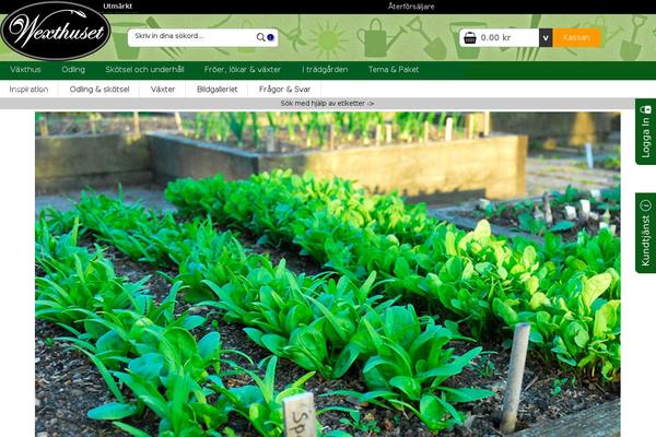 Lifestyle Pro theme site design template sample