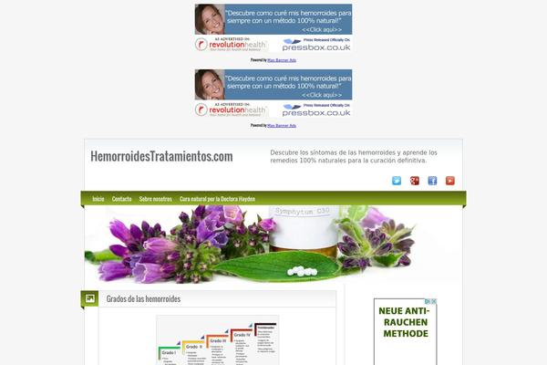 BlogoLife theme site design template sample