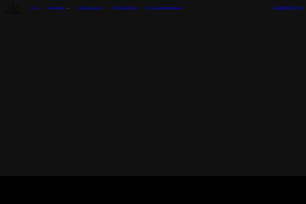 Site using Elementskit plugin