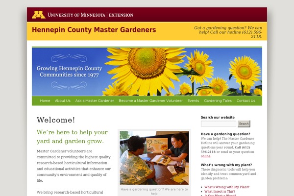 hcmg theme websites examples