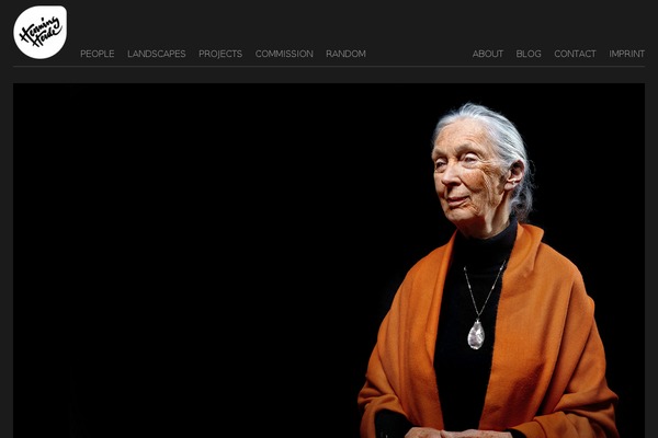 henningheide.com site used Simplicitydark_v01