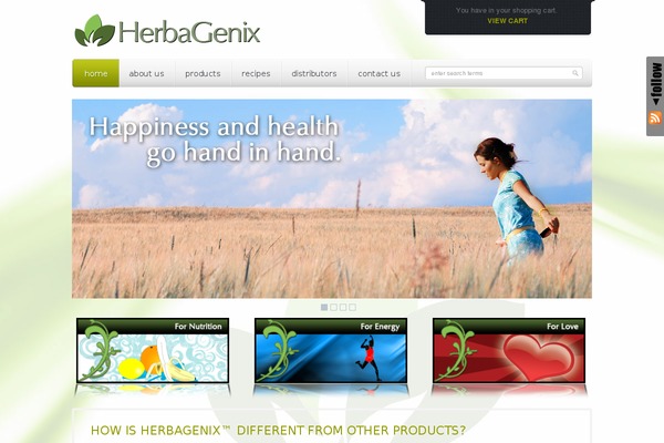 Mazine theme site design template sample
