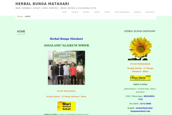 Alum theme site design template sample