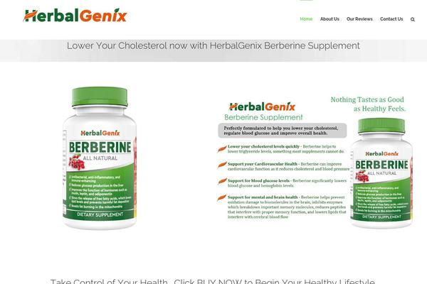 Avada theme site design template sample