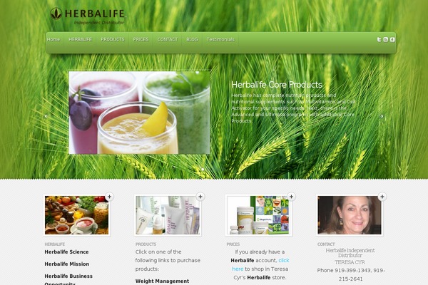Feather theme site design template sample