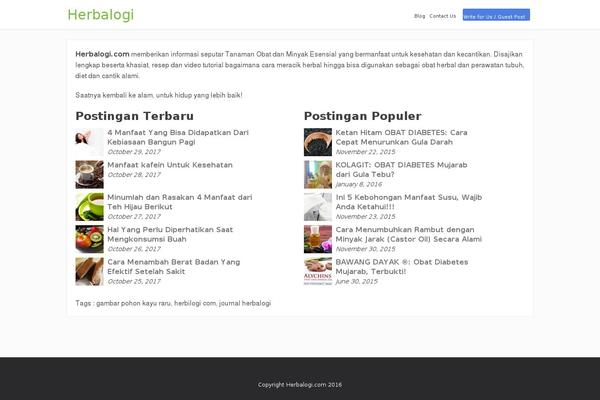 Minimalist Writer theme site design template sample
