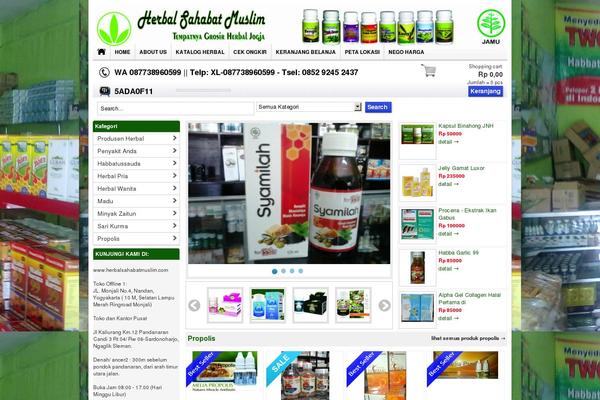 Site using All in One SEO Pack plugin