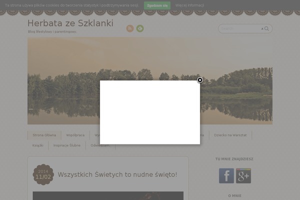 herbata-ze-szklanki.pl site used Blogstyle