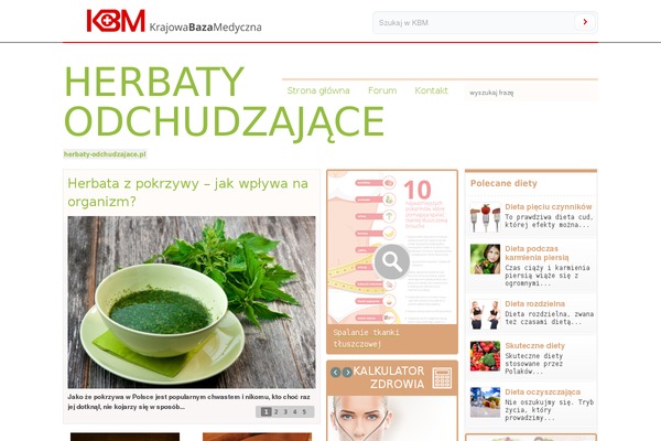 Kbm theme site design template sample