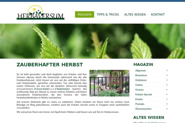 Virtue_premium-child theme site design template sample