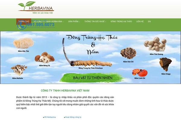 Flatsome theme site design template sample