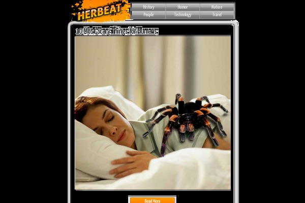 NewsMag theme site design template sample