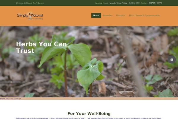 Inspiry-medicalpress-child theme site design template sample