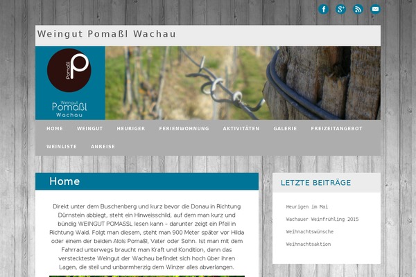 Site using Newsletter-leads plugin