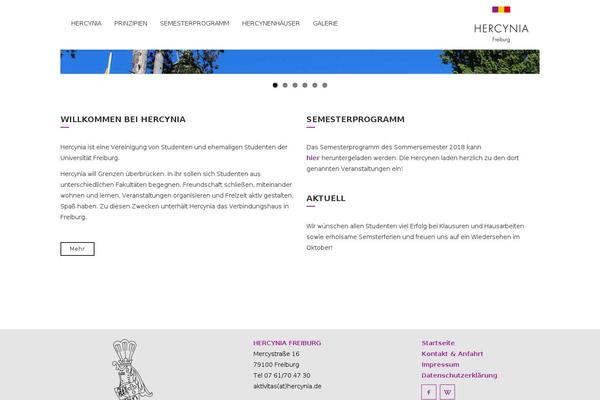 Cam theme site design template sample
