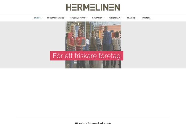 Apicona theme site design template sample