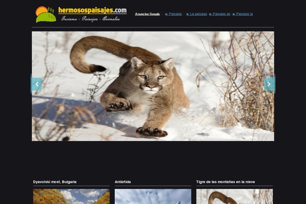Photoria theme site design template sample