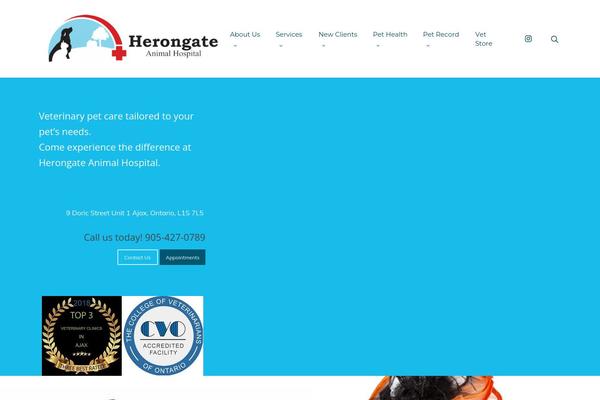 Site using Lifelearn-accessibility plugin