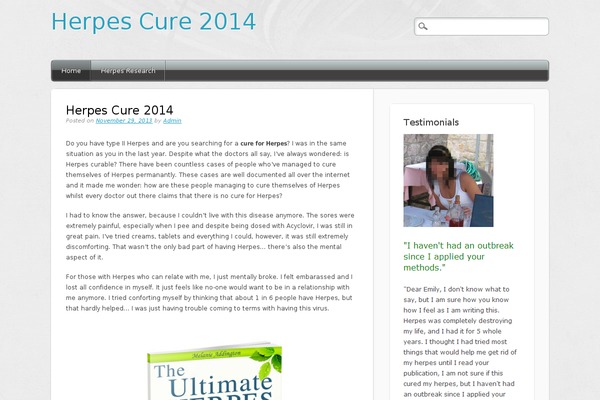 Media Maven theme site design template sample
