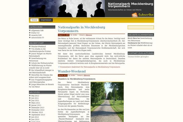 Prosumer theme site design template sample