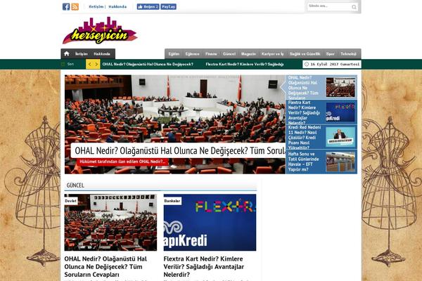 herseyicin.com site used Xturkv280