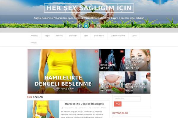 EccePure theme site design template sample