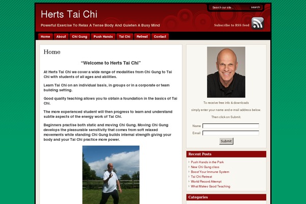 Flexibility theme site design template sample