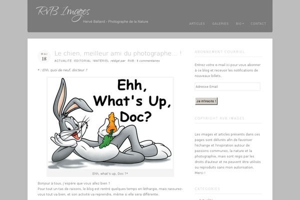 Acoustic theme site design template sample