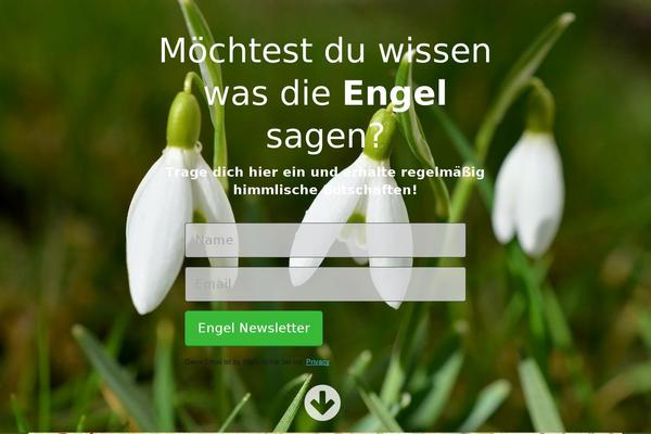 Site using Woocommerce-gateway-paypal-express-checkout plugin