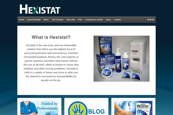 Responsive theme site design template sample