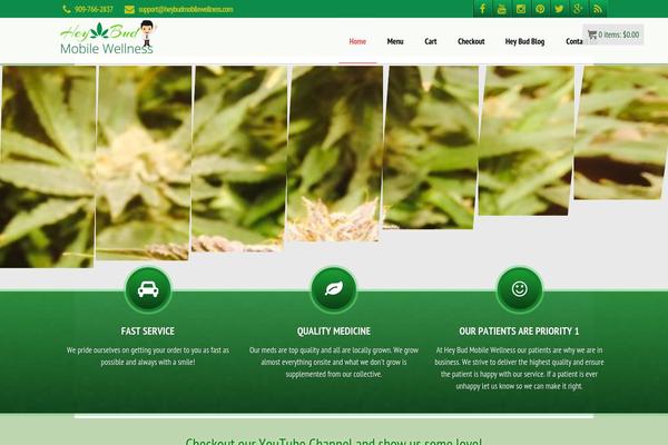 Site using Awesome Flickr Gallery plugin