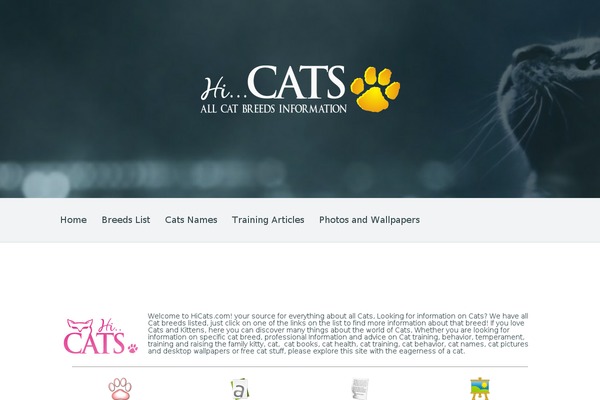 Cats theme site design template sample