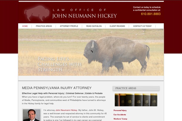 Site using Ronneby-core plugin