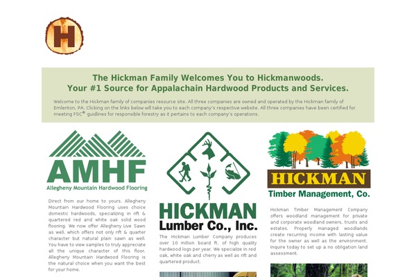 Modernize theme site design template sample