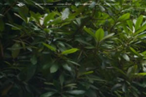 Site using Social Media Widget by Acurax plugin