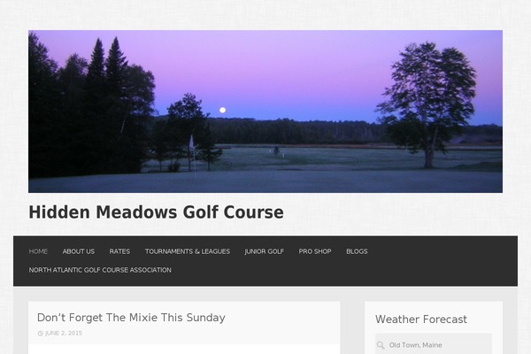 Motif theme site design template sample
