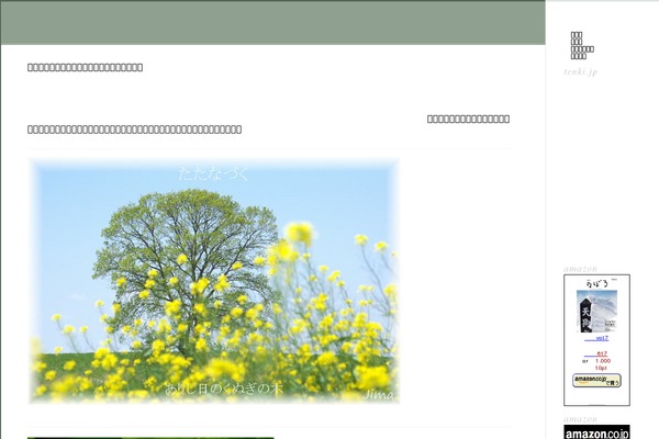 hidekumi12.com site used Classic