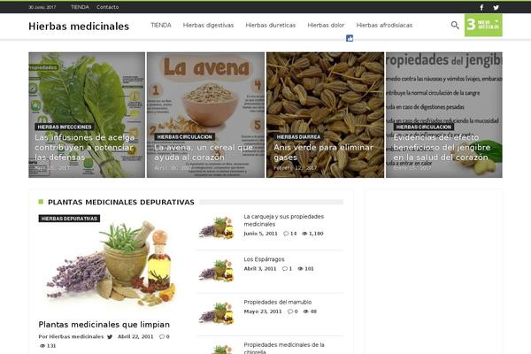 Ignites theme site design template sample