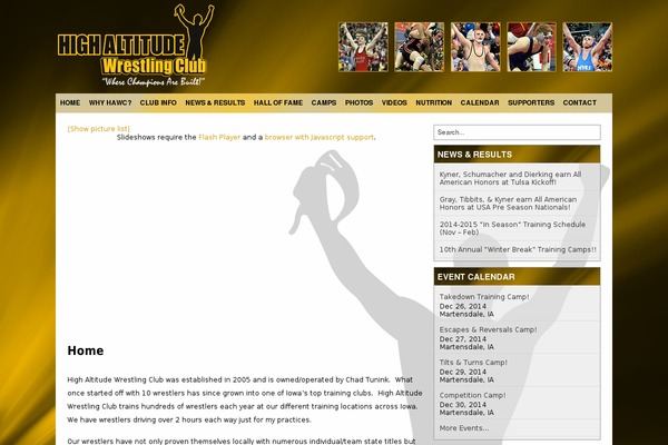 Helios theme site design template sample
