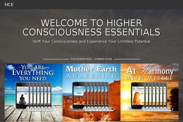 Agency Pro theme site design template sample