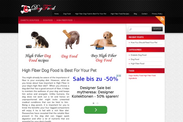 Colorbold theme site design template sample