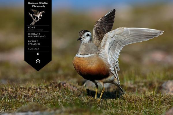 King Size theme site design template sample