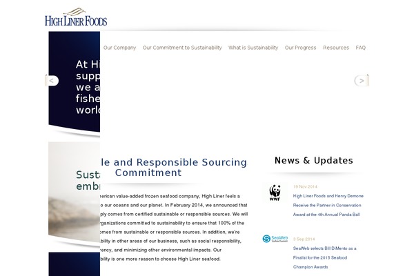 Custom theme site design template sample