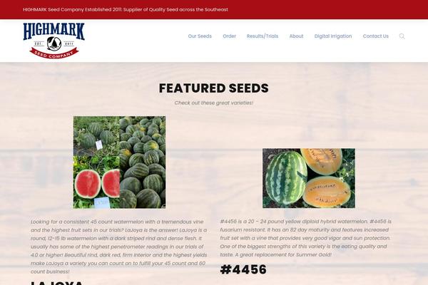 Mediz theme site design template sample