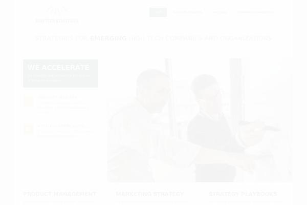 NEWERA theme site design template sample