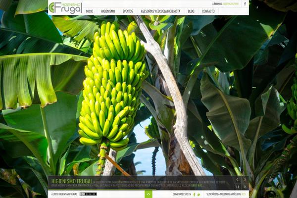 Incipiens theme site design template sample