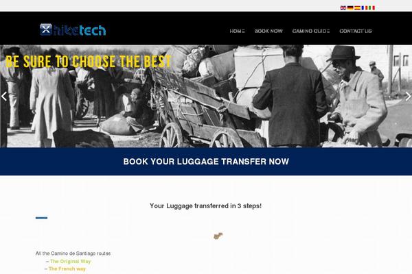 Site using Mesmerize-companion plugin
