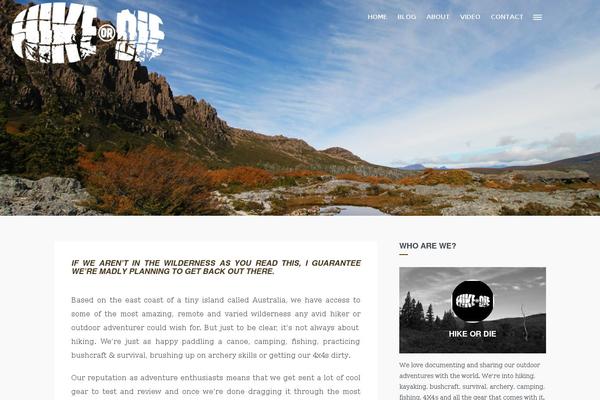 Site using Twiiter-wp-widget plugin