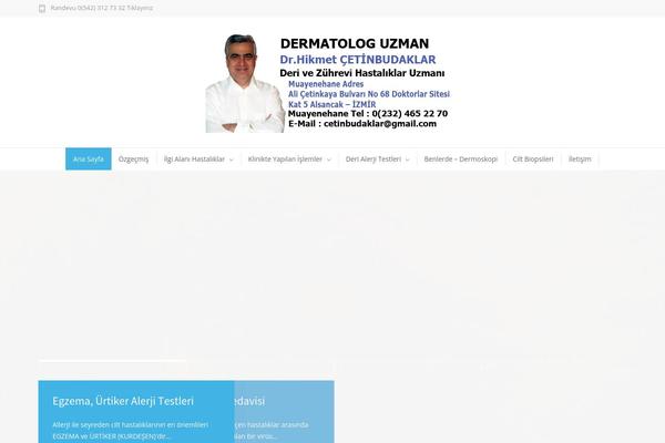 MediCenter theme site design template sample