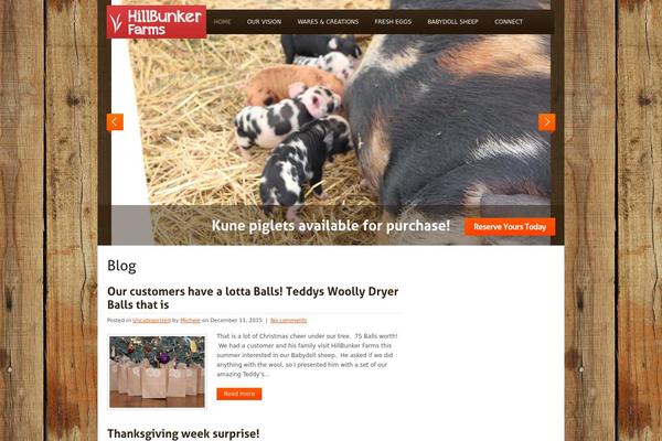 Theme1384 theme site design template sample